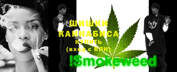 дурь Алзамай