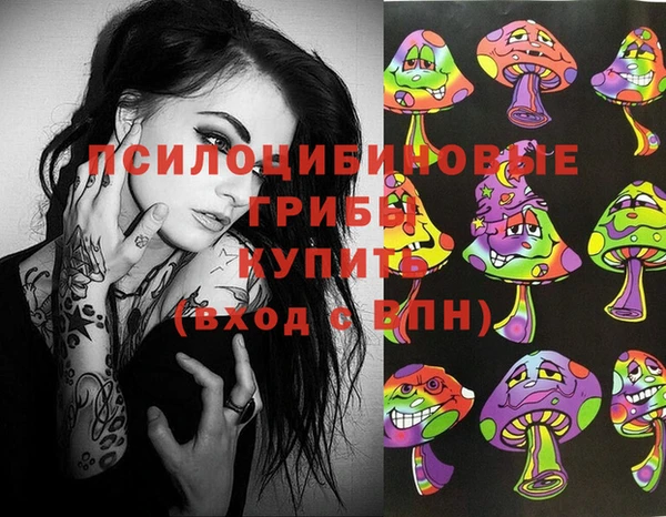PSILOCYBIN Алексин